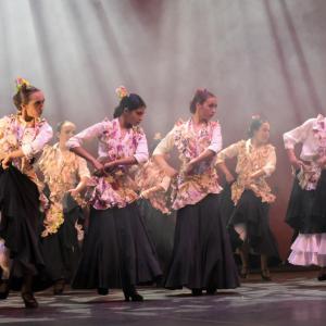 Fotografía de Talleres Danza Española (galería 2) - Conservatorio de Danza